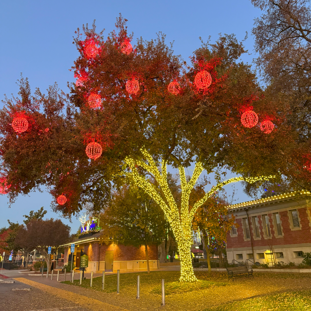 Holiday Events in Paso Robles